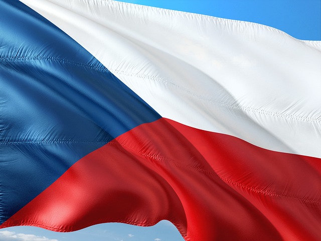 Czech Flag Icon for Citizenship Guide