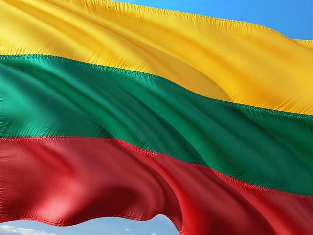 Lithuanian Flag Icon for Citizenship Guide