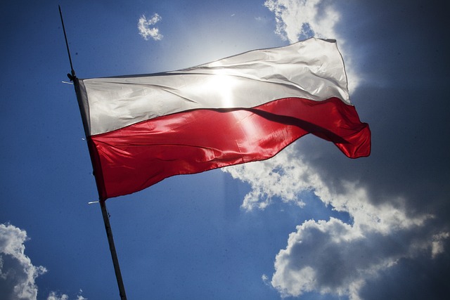 Polish Flag Icon for Citizenship Guide